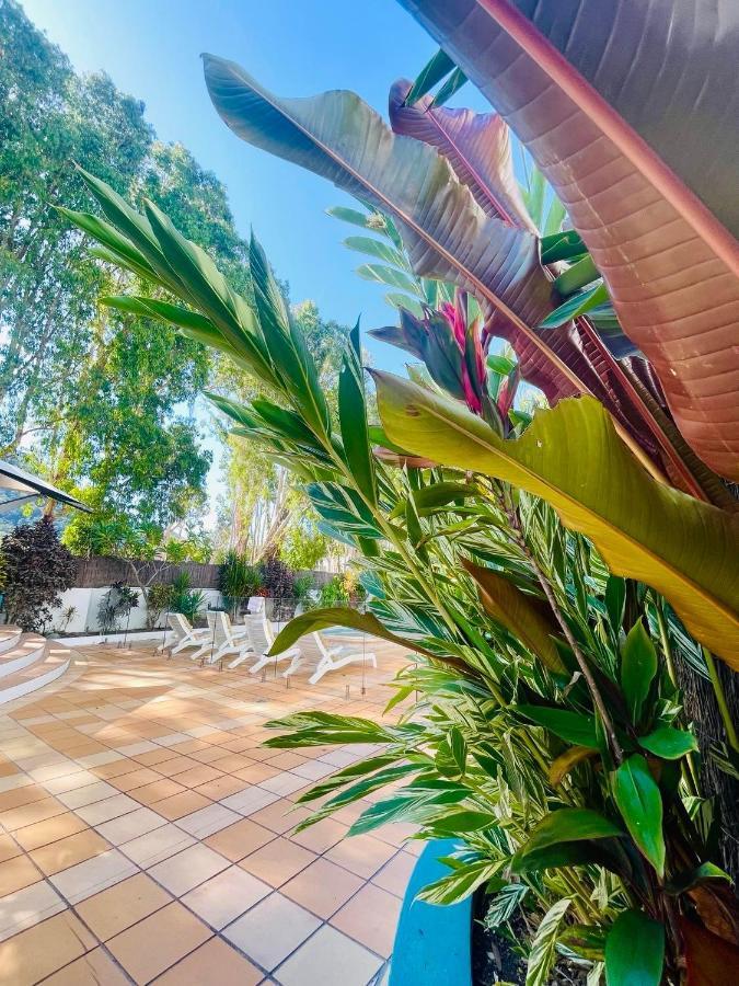 Beachview Apartments At Villa Paradiso Palm Cove Exteriér fotografie