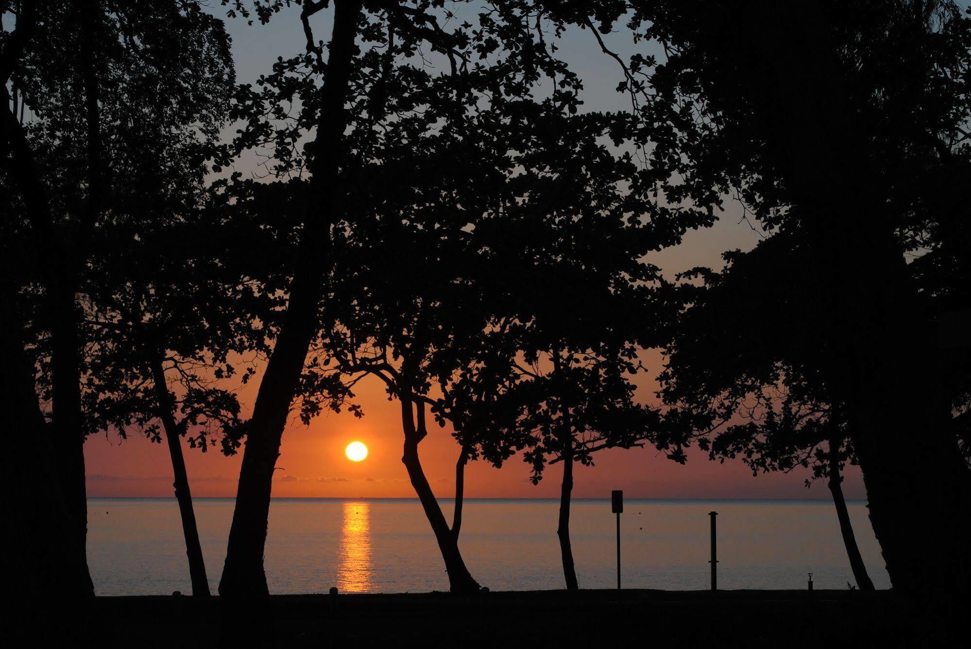 Beachview Apartments At Villa Paradiso Palm Cove Exteriér fotografie